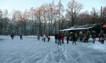 Roowinkel jan. 2009 059