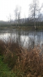 December  laatste week.