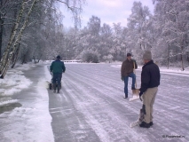 januari 2010