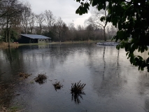 januari-2019