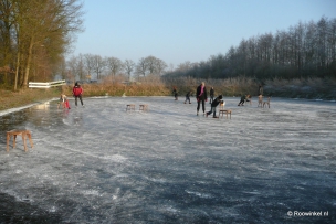 Roowinkel 31-12-2008 051