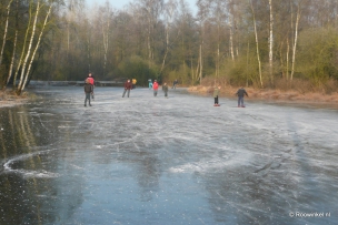 Roowinkel 31-12-2008 056