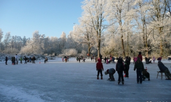 roowinkel jan. 2009 100