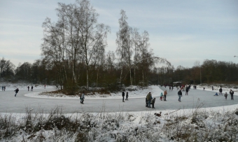 roowinkel jan. 2009 151