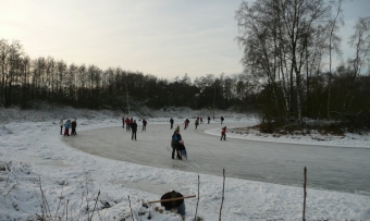 roowinkel jan. 2009 152