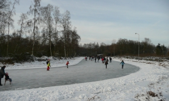 roowinkel jan. 2009 153