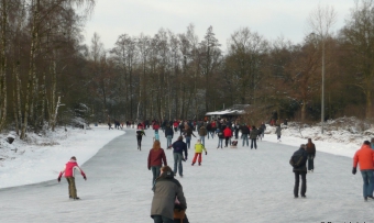 roowinkel jan. 2009 154