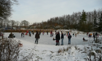 roowinkel jan. 2009 155