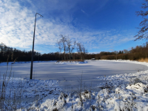 Winter-2021